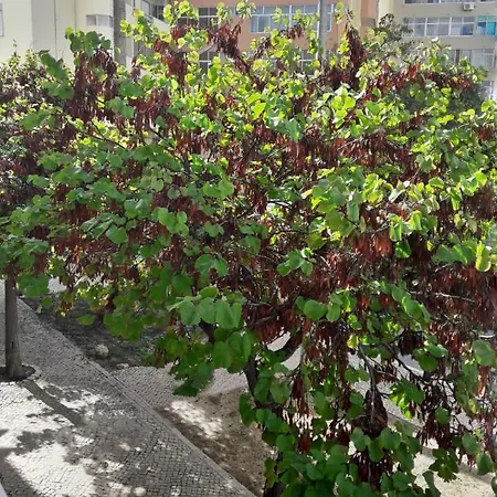 Casinha Da Ria Apartment Faro Exterior photo